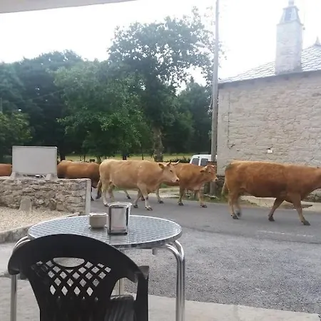 Ostello O Abrigo Miraz